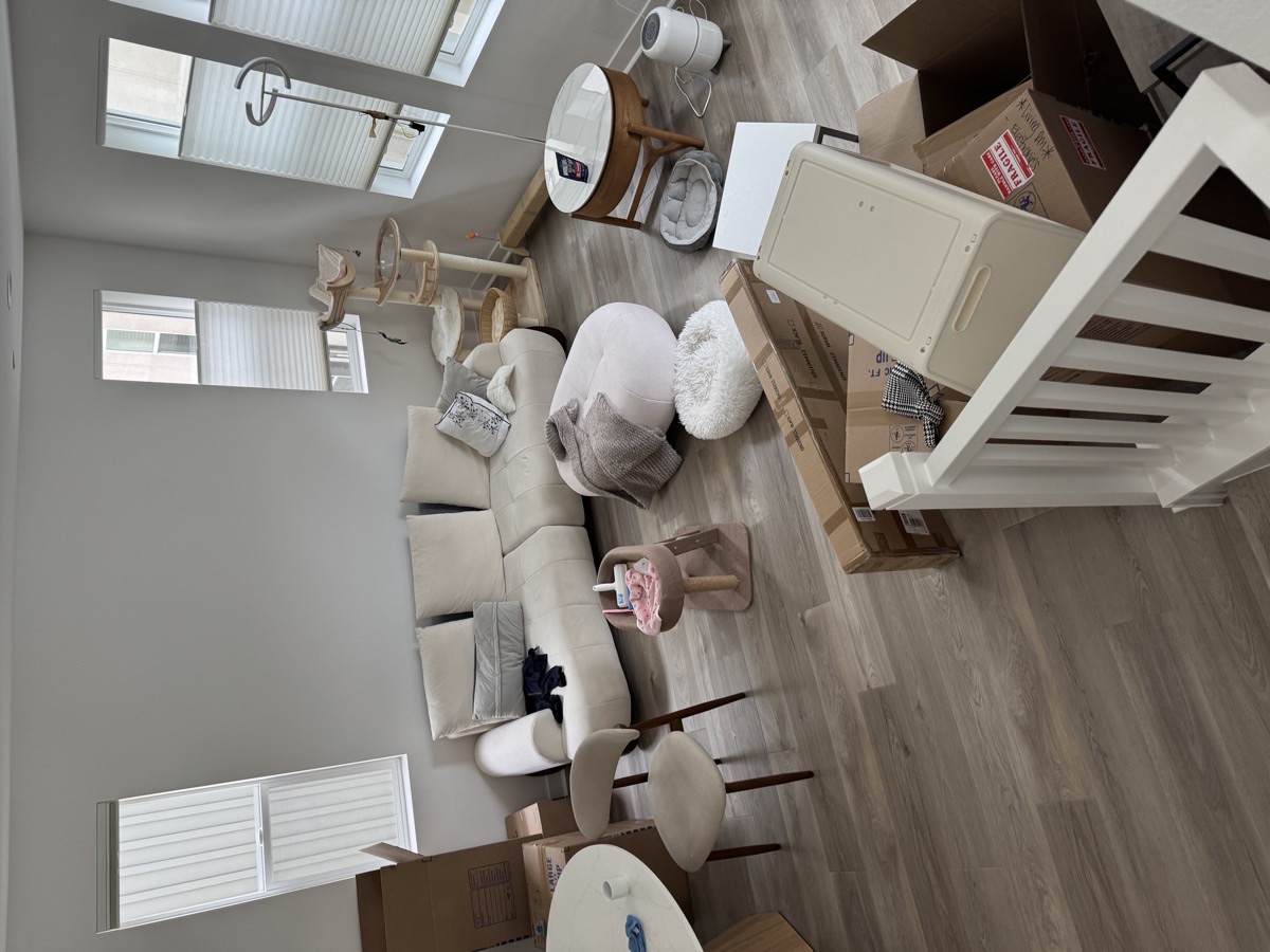 Post-renovation living room — construction dust on new flooring